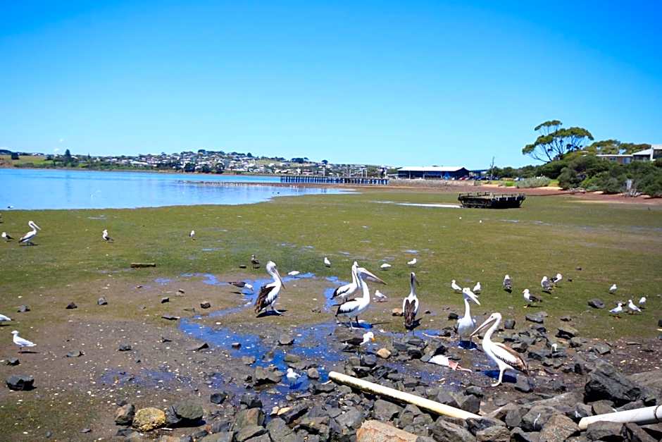 Pelicans Motel San Remo