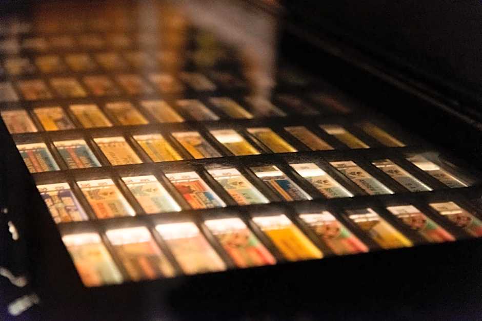 Sunflower Beach Backpacker Hostel & Bar