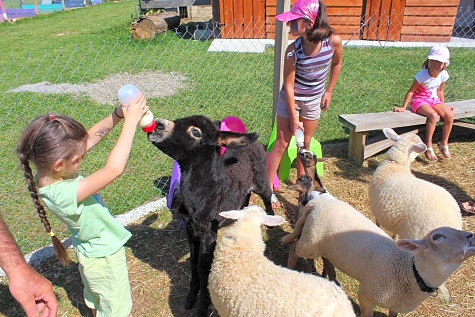 La petite ferme de Pouillon - Parc animalier - aire de loisirs
