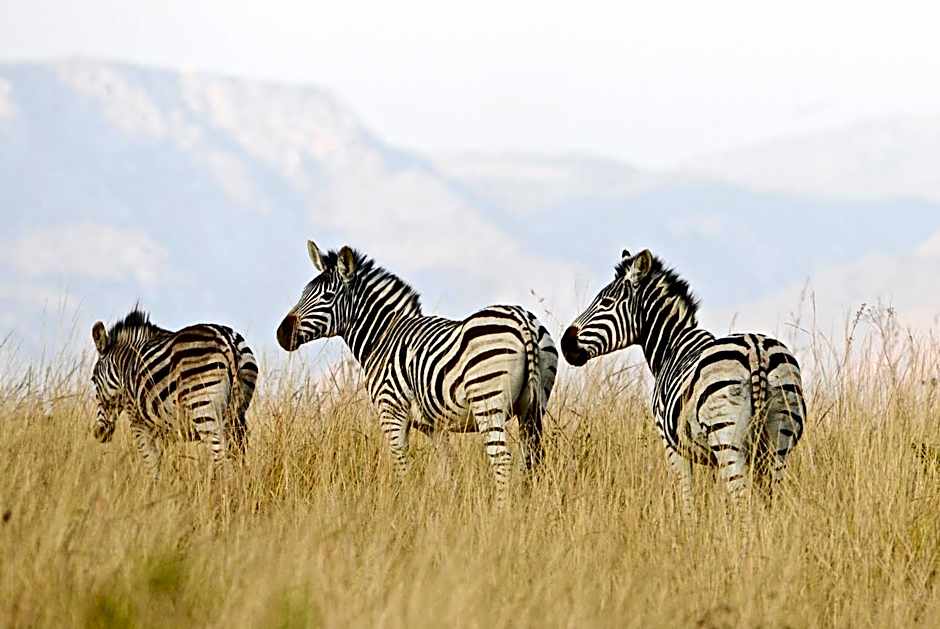 Tomjachu Bush Retreat