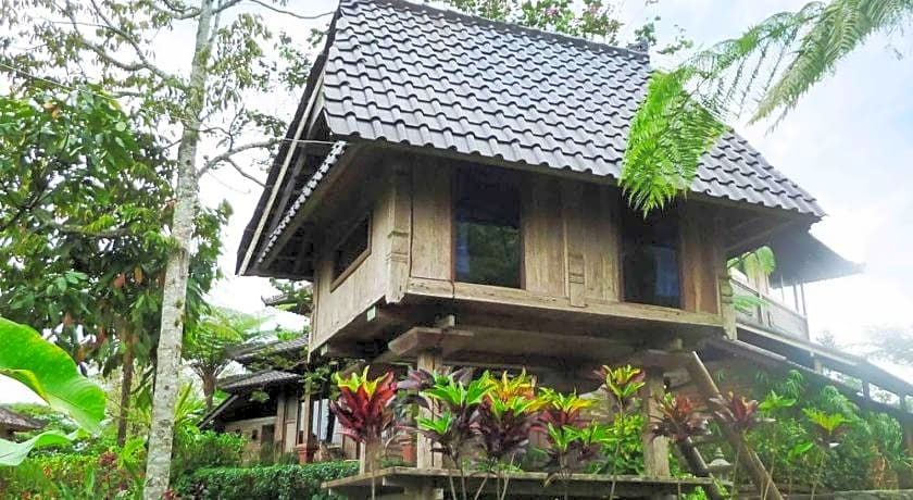 Bali Mountain Retreat