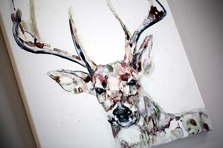 Darlington Arms by the airport