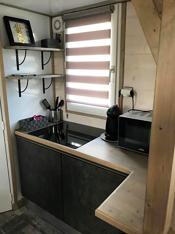 Les nuits insolites de la mothe - hébergement en bulle ou tiny house avec spa privatif