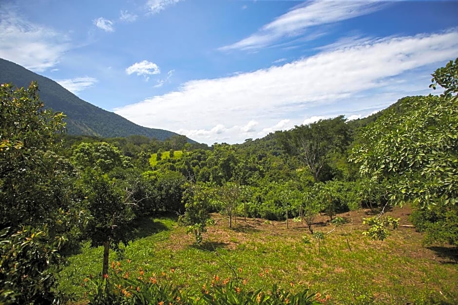 Oaxaca Jungle Cabins