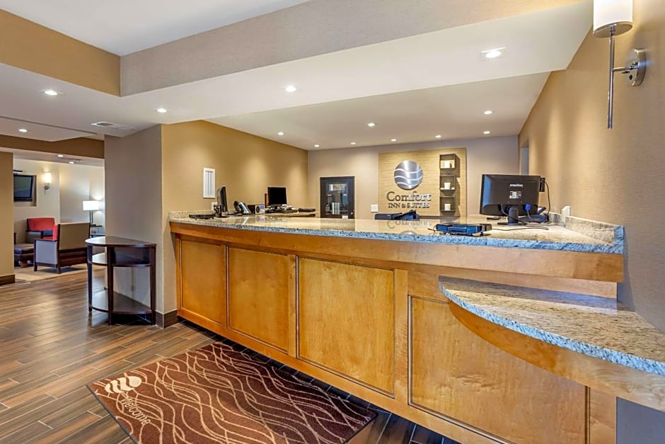 Comfort Inn & Suites Rochelle - DeKalb