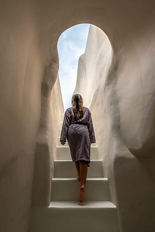 Art Maisons Oia Castle