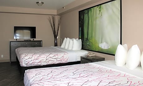 Executive Suite