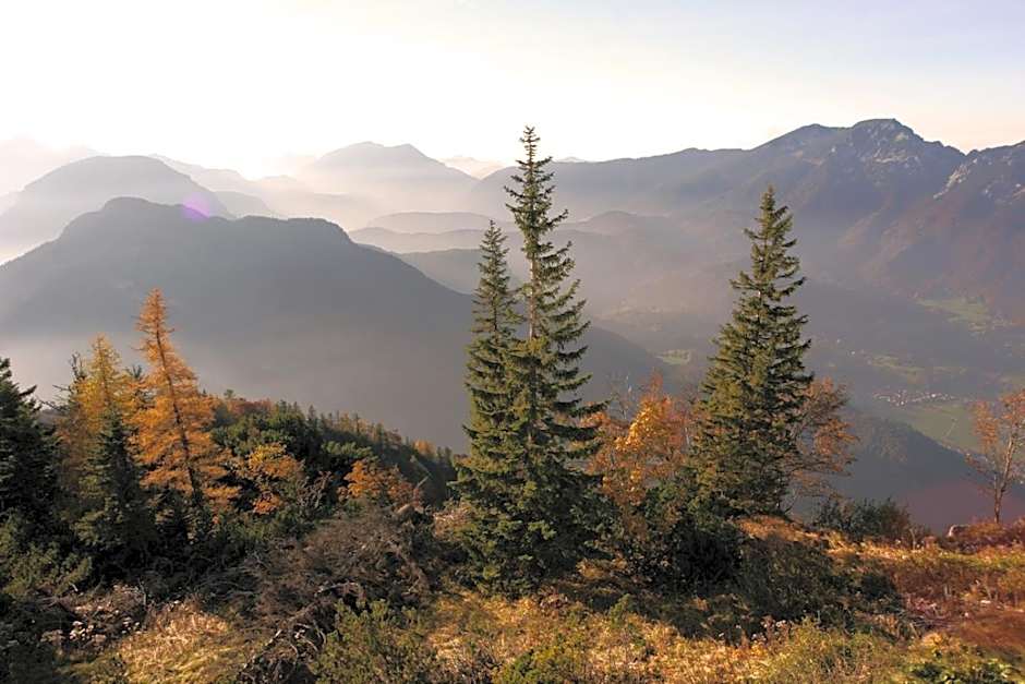 Pension Almhof Baumgarten