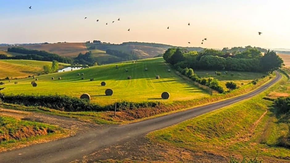 Domaine ¿armande