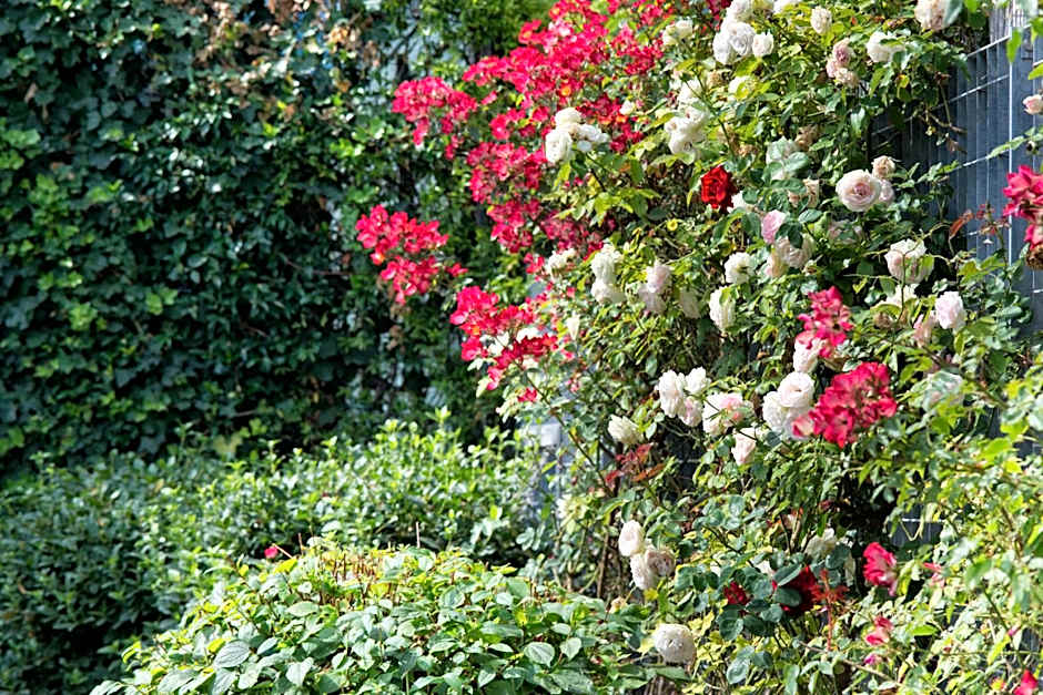 Maison Di Fiore Park