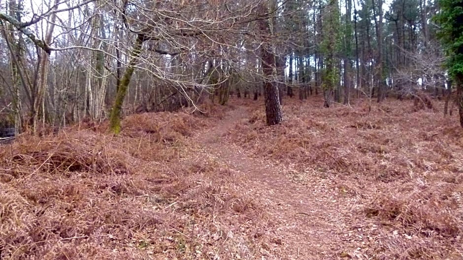 Les Calicots Sanguinet