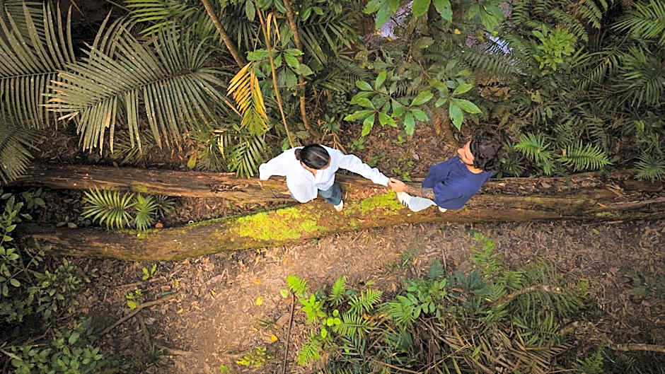 Chambers Wildlife Rainforest Lodges