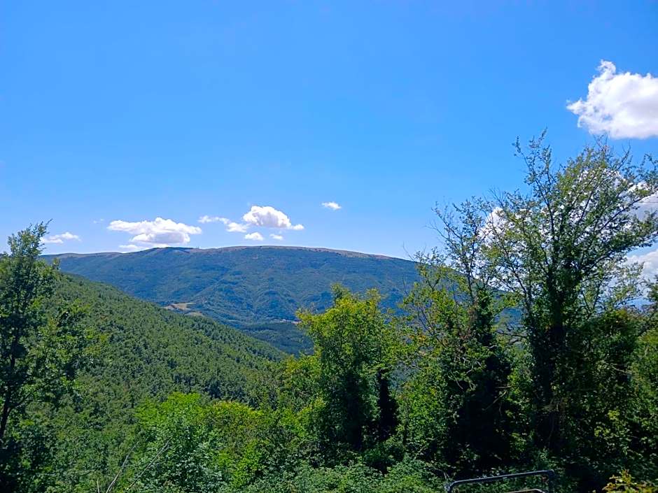 La Tavola Dei Cavalieri