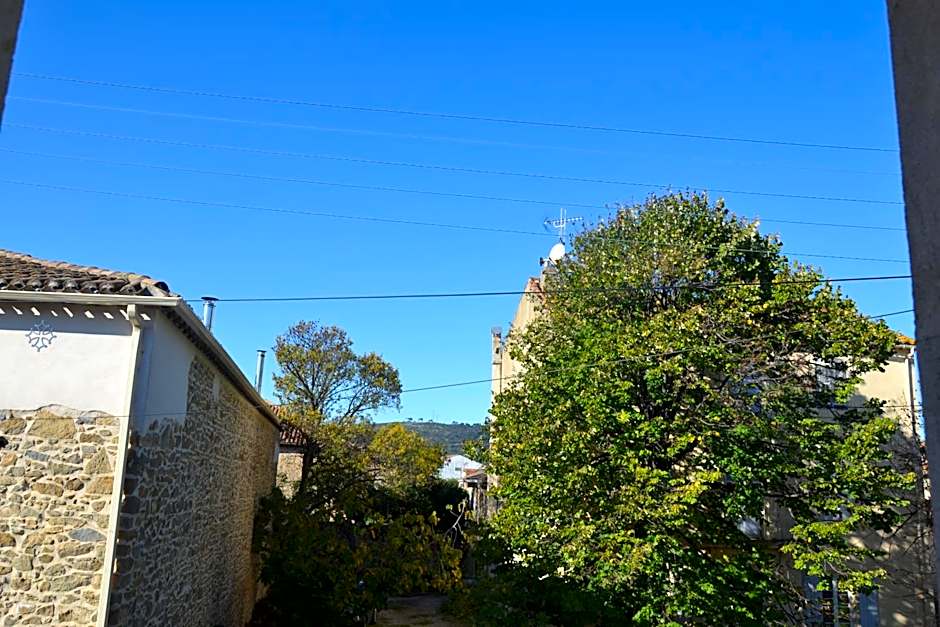 Le colibri bleu