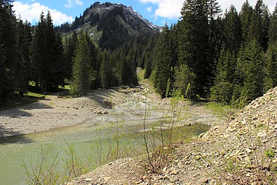 Alpenhotel Widderstein