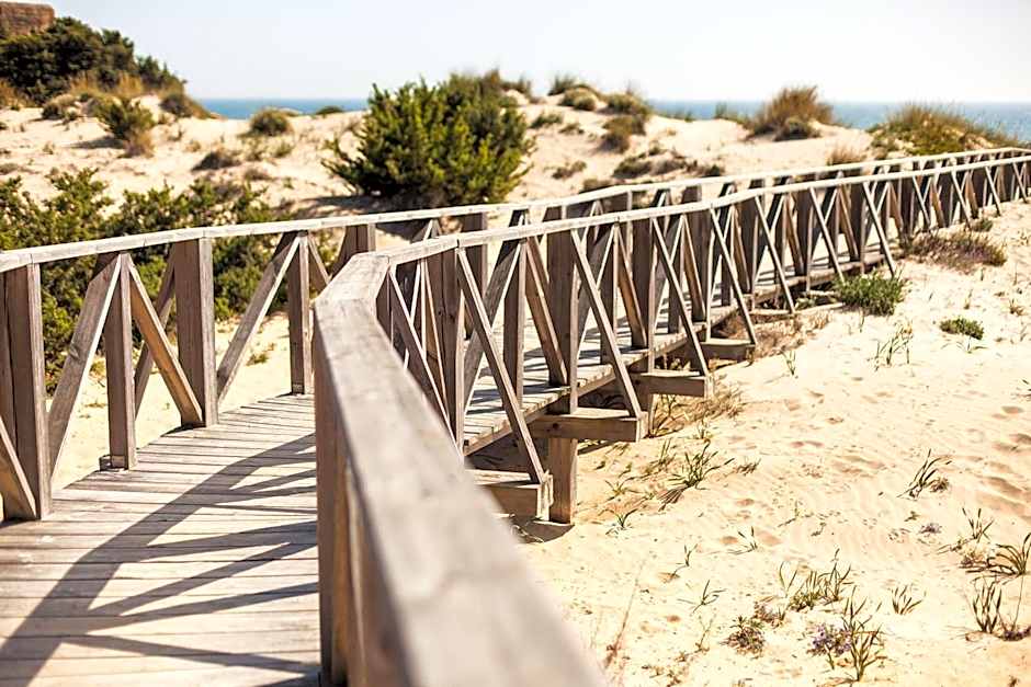 Valentin Sancti Petri