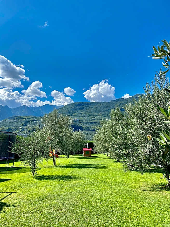 AB&C Arco Bed And Camping