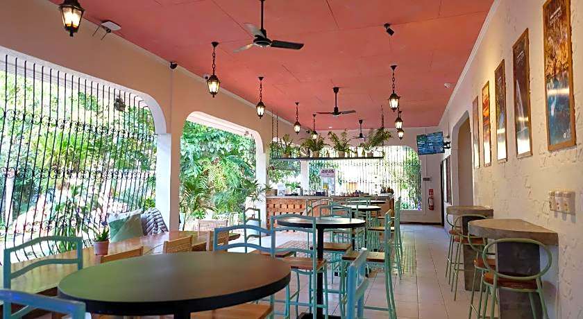 Mad Monkey Dumaguete