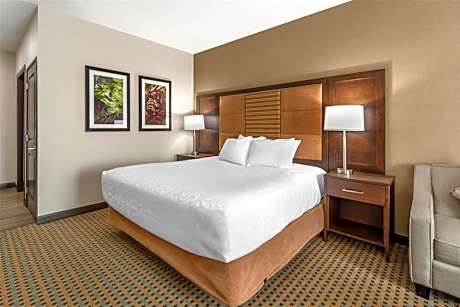 Best Western Plus Hinton Inn & Suites