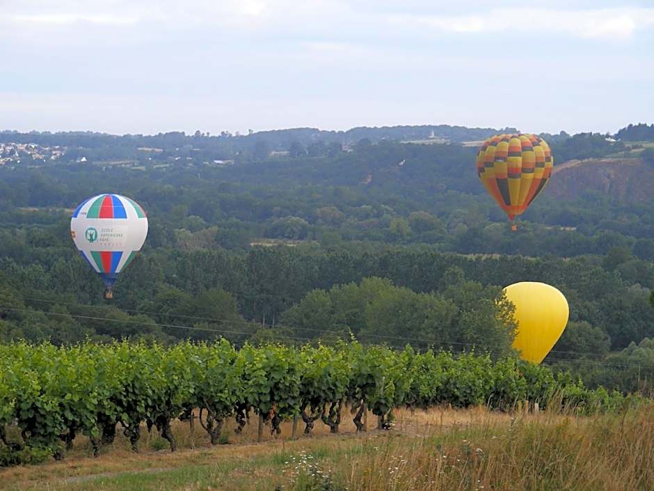 Chambres d'Hôtes Vignes et Loire