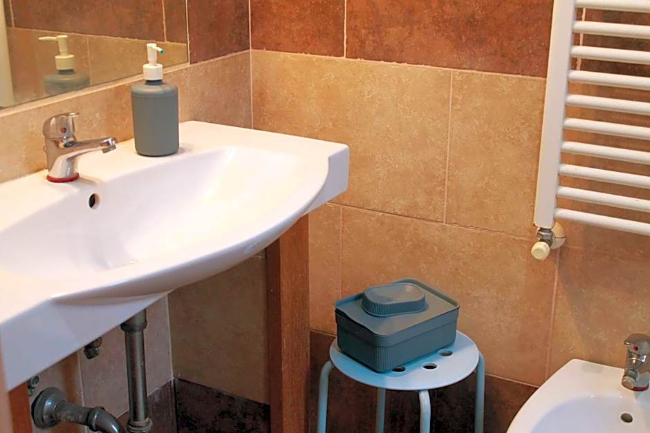 Daffodil in Roma San Pietro