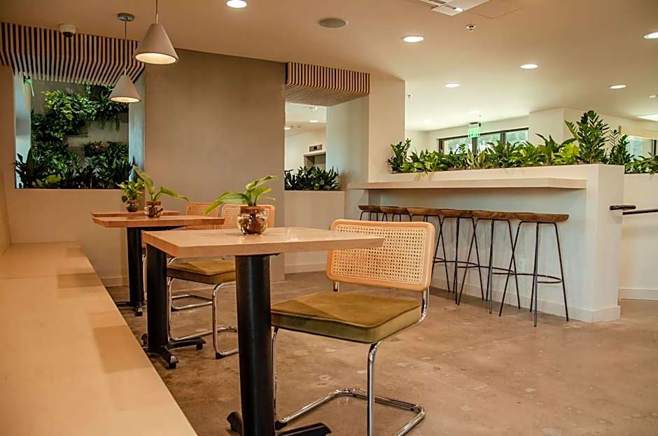 Brut Hotel
