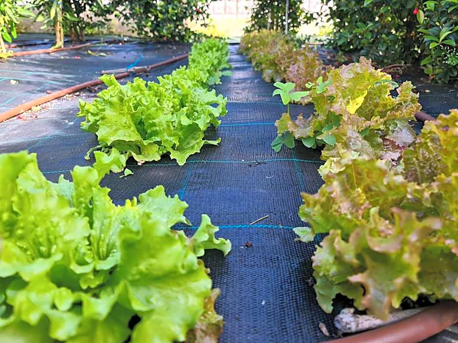 Apartamentos Ria de Aldan