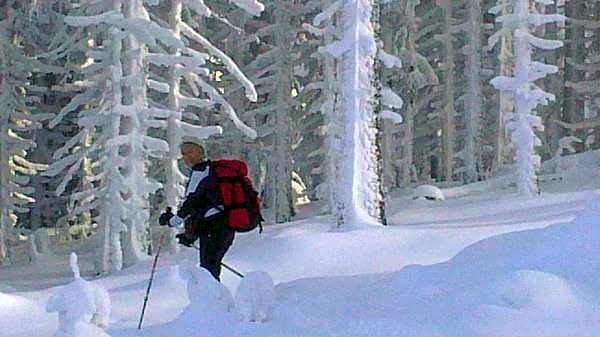 Hotel Gasthof Brüggler