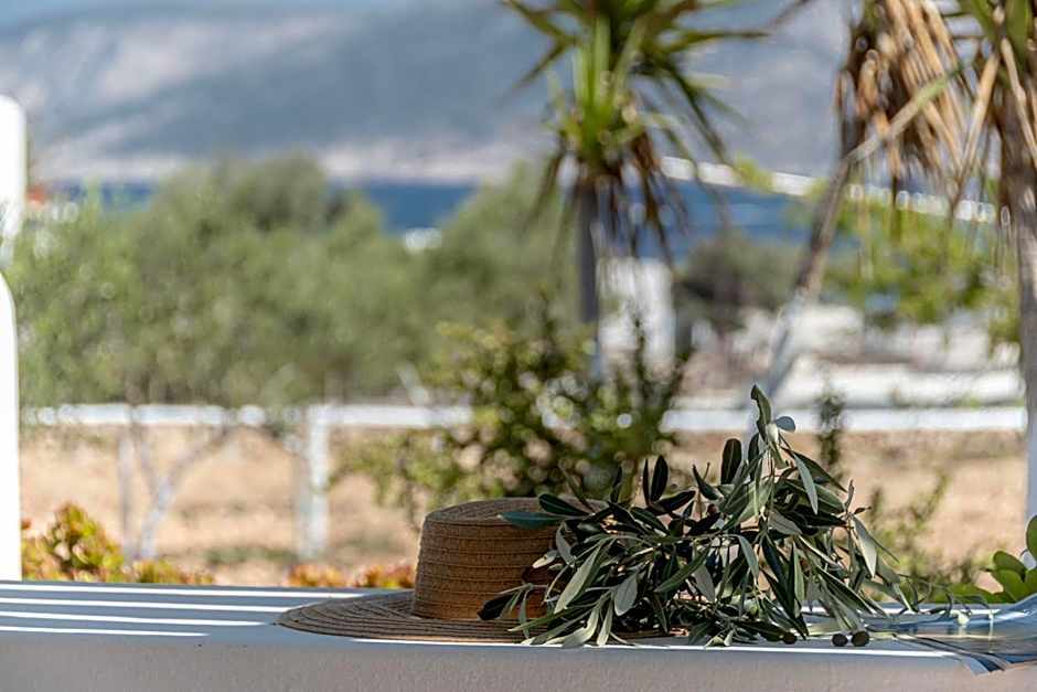 Michalios Cycladic Apartments