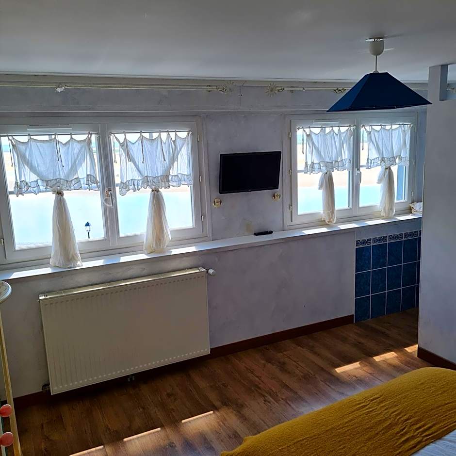 Les Mouettes Blessées