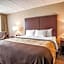 Quality Inn & Suites Orland Park - Chicago
