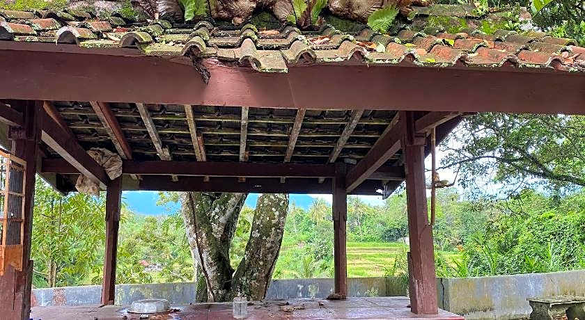 Hotel O Lotus Guest House