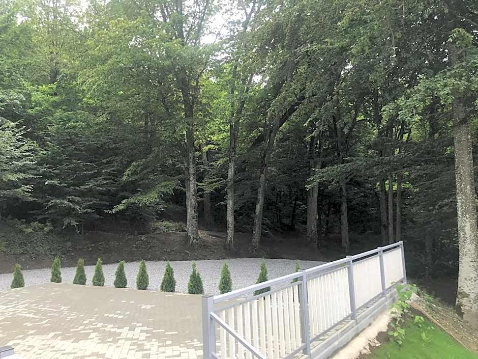 Vila Niki