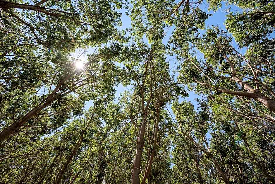 Ghiacci Vecchi Residence