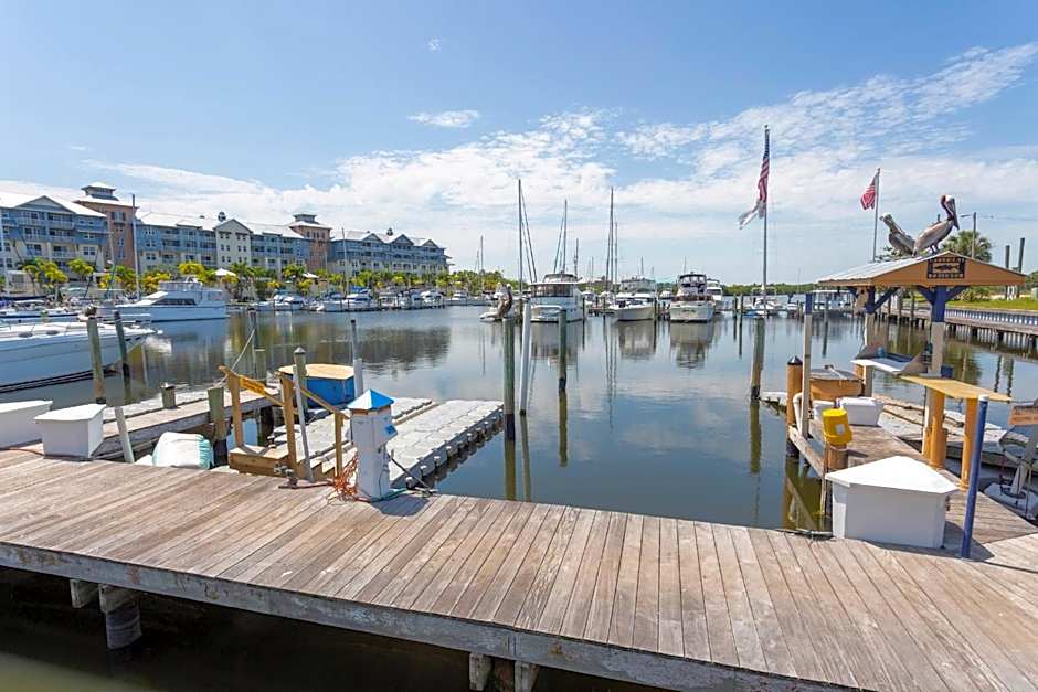 TAMPA BAY, BEACH step away, WIFI, FREE PARKING,POOLS, JACUZZI