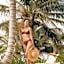 Unico Hotel Riviera Maya - All Inclusive - Adults Only