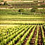 Kyriad Prestige Beaune le Panorama