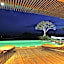Vivo Villa - Villa Vivo
