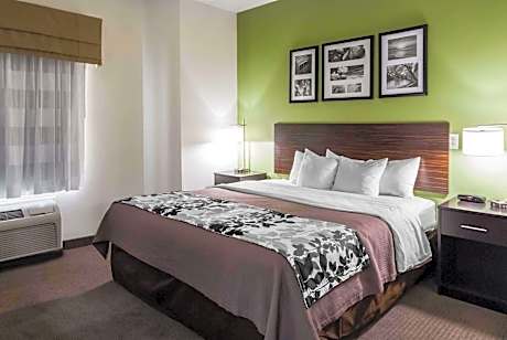 1 King Bed Nonsmoking