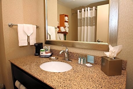 1 King Mobility Hearing Accessible with Tub Non-Smoking