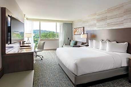 1 King Bed With Sofabed