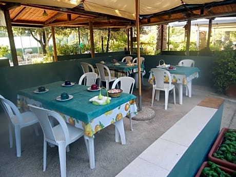 B & B Marcarius