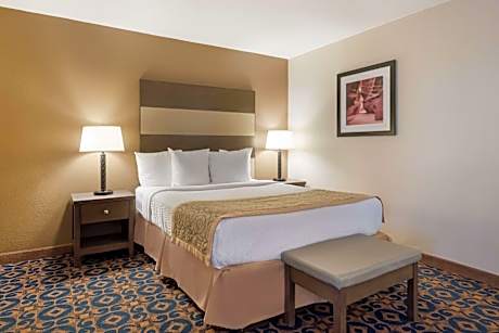 1 Queen Bed, Non-Smoking, Wireless High-Speed Internet, Coffee Maker, Hairdryer, Iron And Ironing Bo