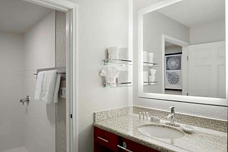 1 Bedroom Queen RI Shower, 1 Bedroom 2 room Suite, 1 Queen, Sofa bed