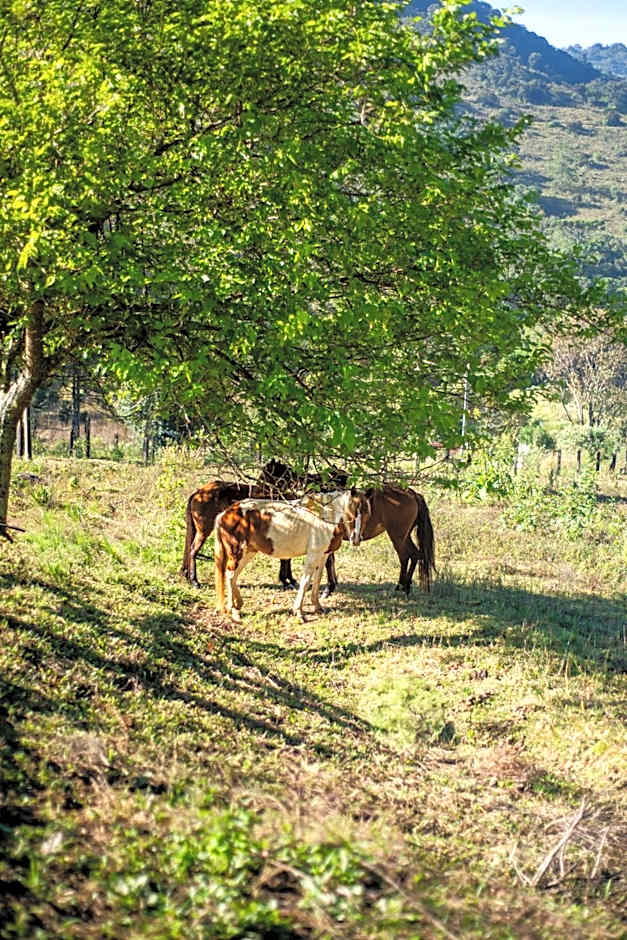 Pousada Pedra da Mata chalés na montanha