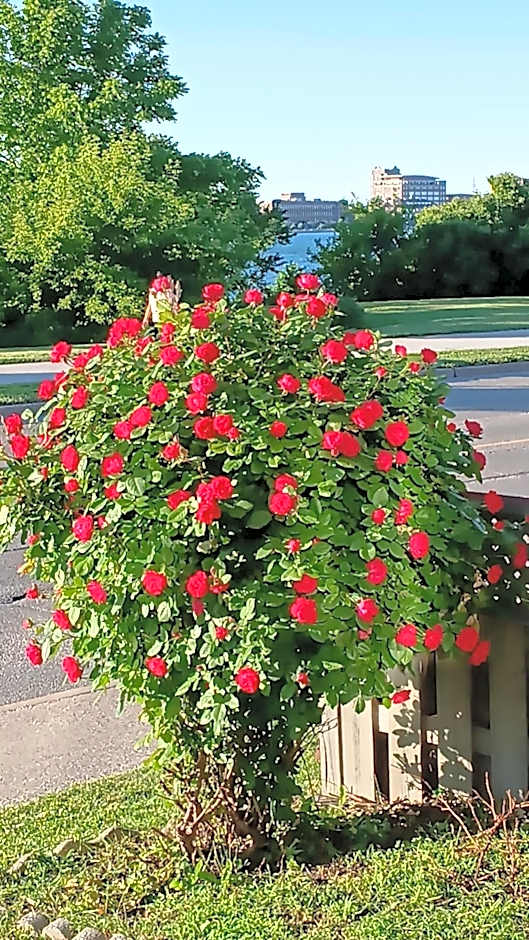 Waterfront Home Windsor ,On, Ca