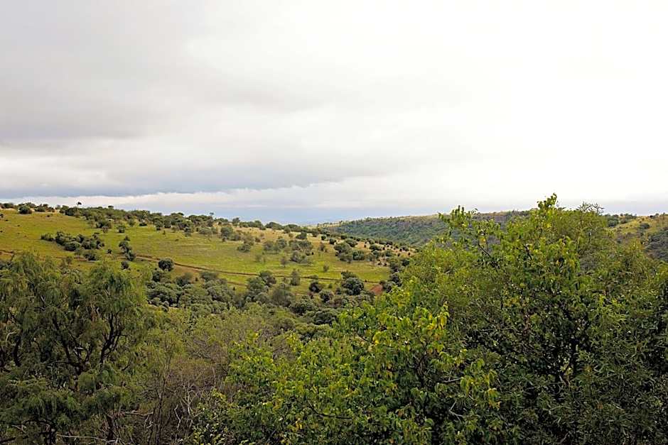 Mahikeng Lodge