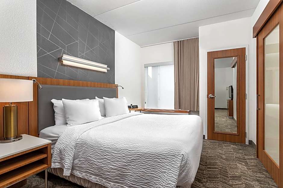 SpringHill Suites by Marriott Chattanooga Downtown/Cameron Harbor