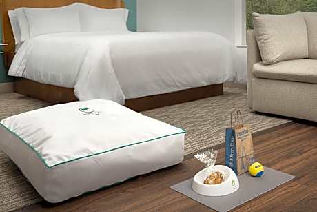 One-Bedroom King Suite with Sofa Bed