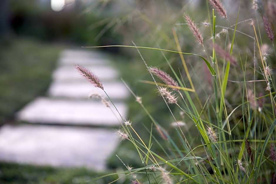 The Royal Fischer Hotel